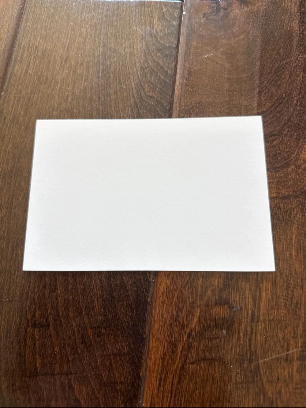 50 Pack - Large 4x6” Super Cute Cow Girlies Thank You Cards
